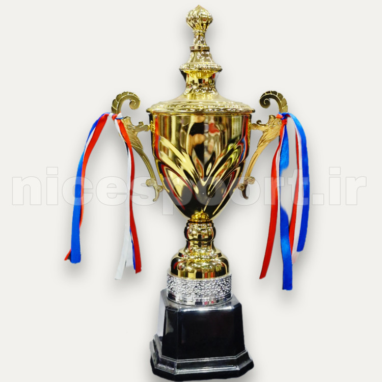 کاپ و جام قهرمانی ورزشی مدل 2406