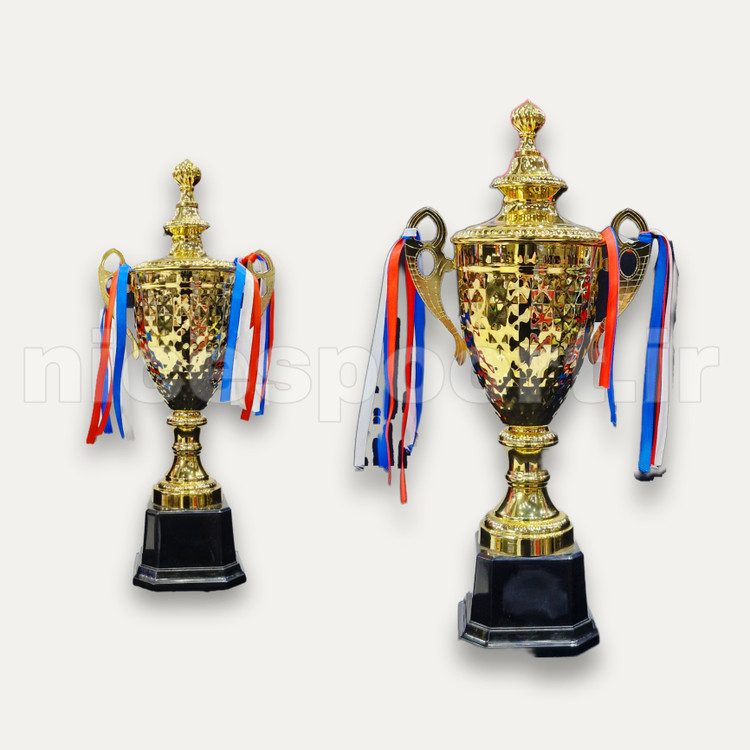 کاپ و جام قهرمانی ورزشی مدل 2402