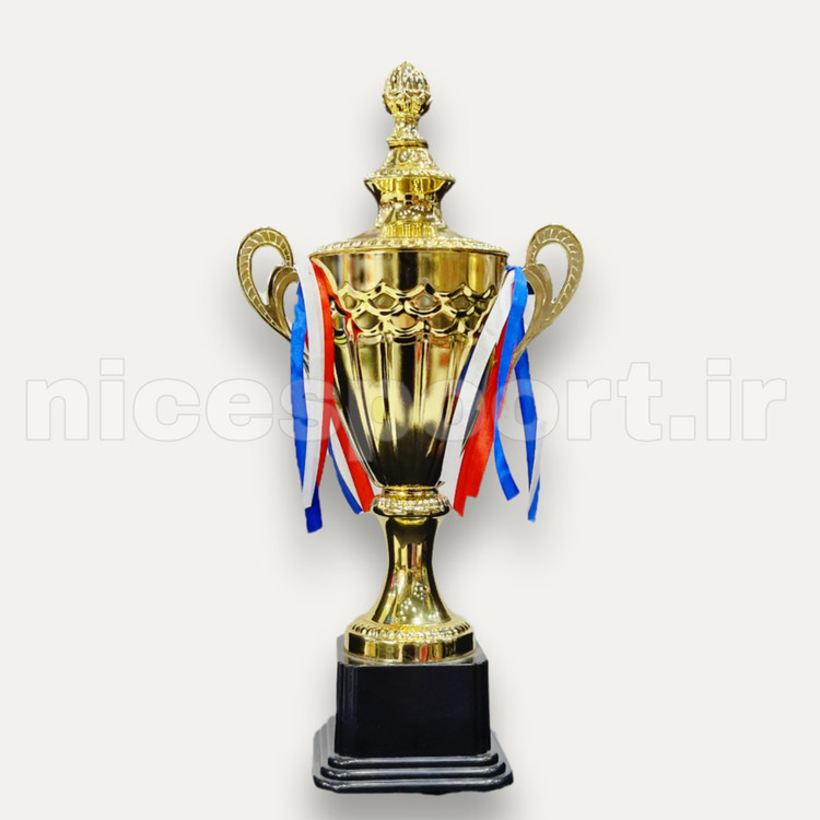 کاپ و جام قهرمانی ورزشی مدل 2083