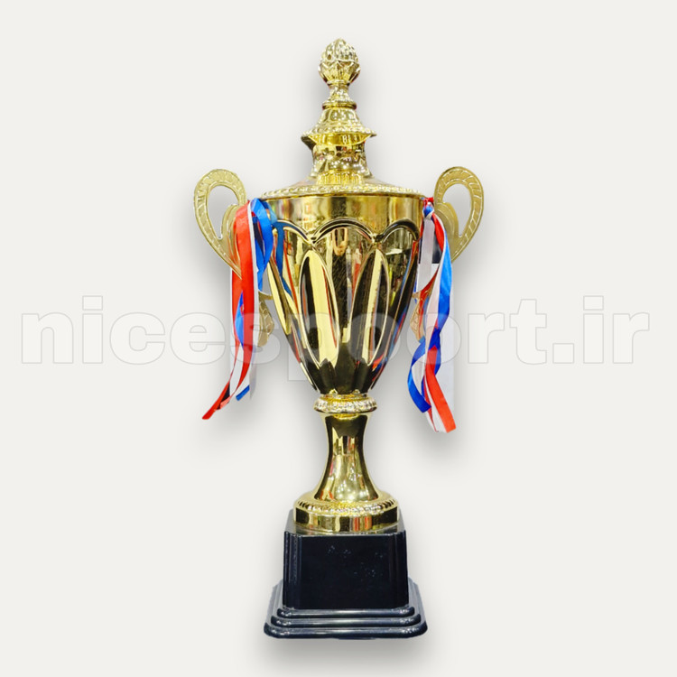 کاپ و جام قهرمانی ورزشی مدل 2081