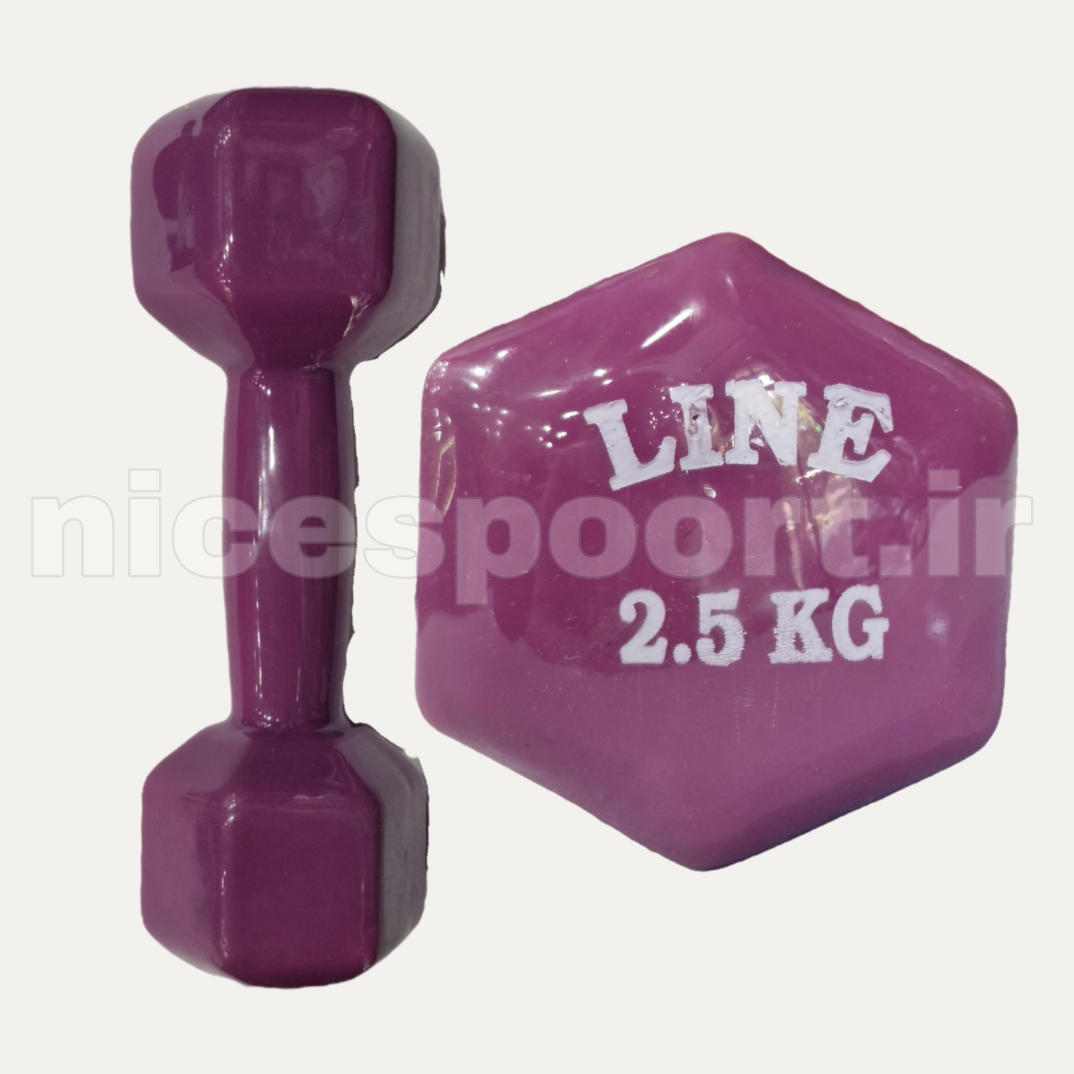 دمبل بانوان 2.5 کیلویی  روکش دار بسته 2 عددی (جفتی)