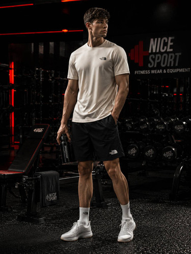 تیشرت فلامنت The North Face