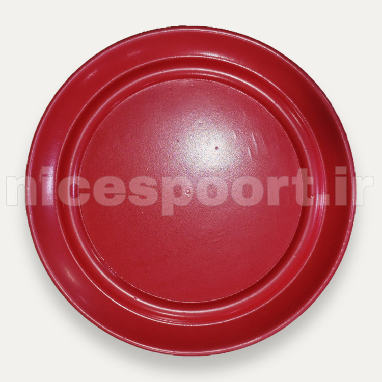فریزبی اسفنجی LAVESON